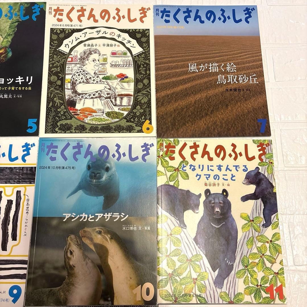 月刊たくさんのふしぎ　2024.4〜2025.3 12冊セット