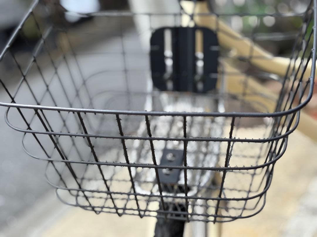 コーダーブルームasson J24 アイボリー