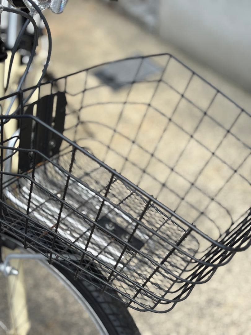 コーダーブルームasson J24 アイボリー