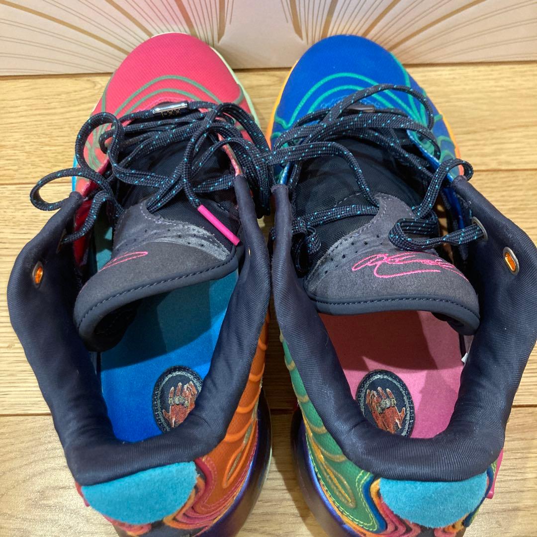 Nike レブロン21 LEBRON XXI EP マルチカラー