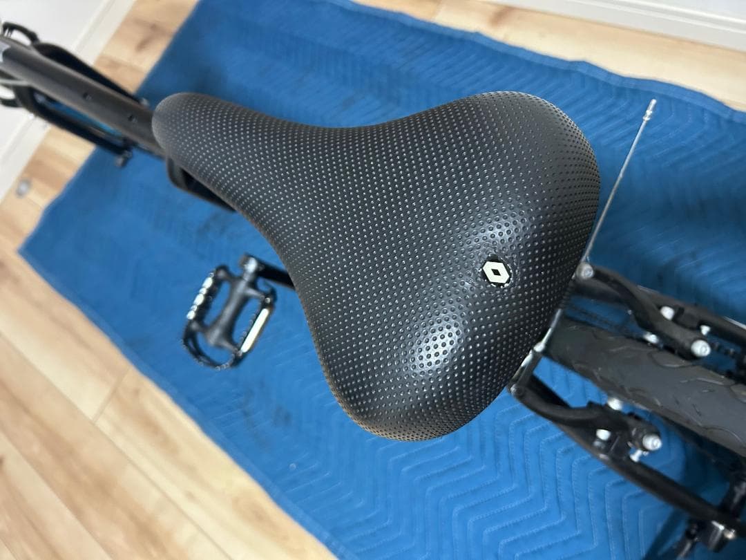 【超美品】ルノー_RENAULT_LIGHT10_20インチ_ブラック_折り畳み