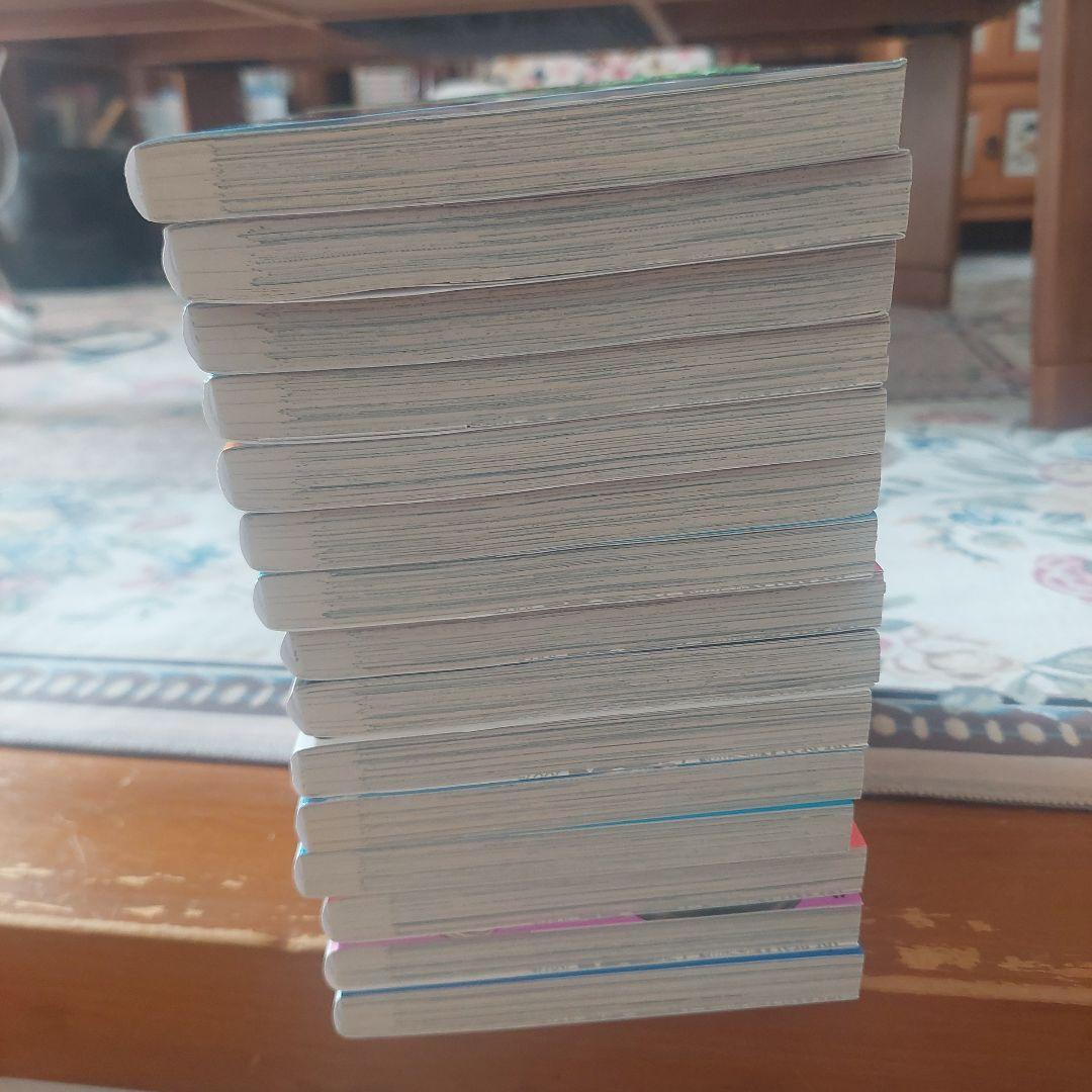 焼いてるふたり　1から17