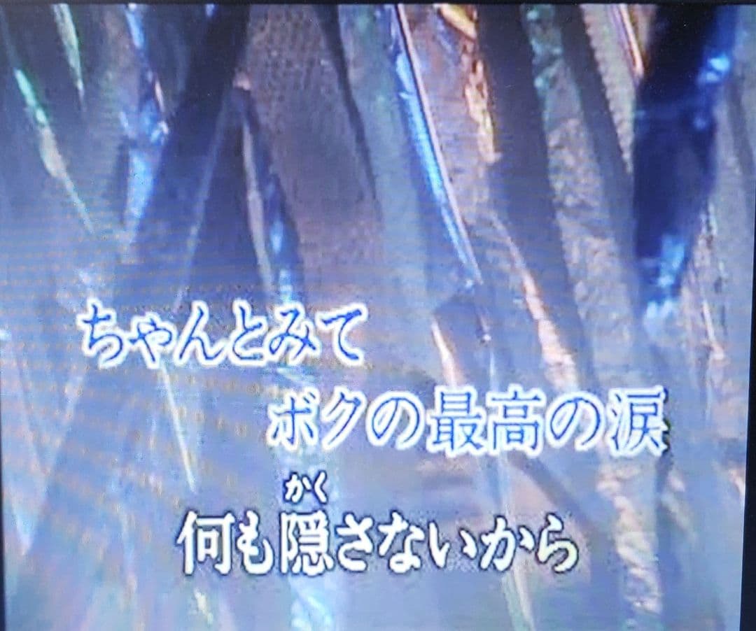 第一興商 カラオケ VCD『B'z 他 』全16曲です。