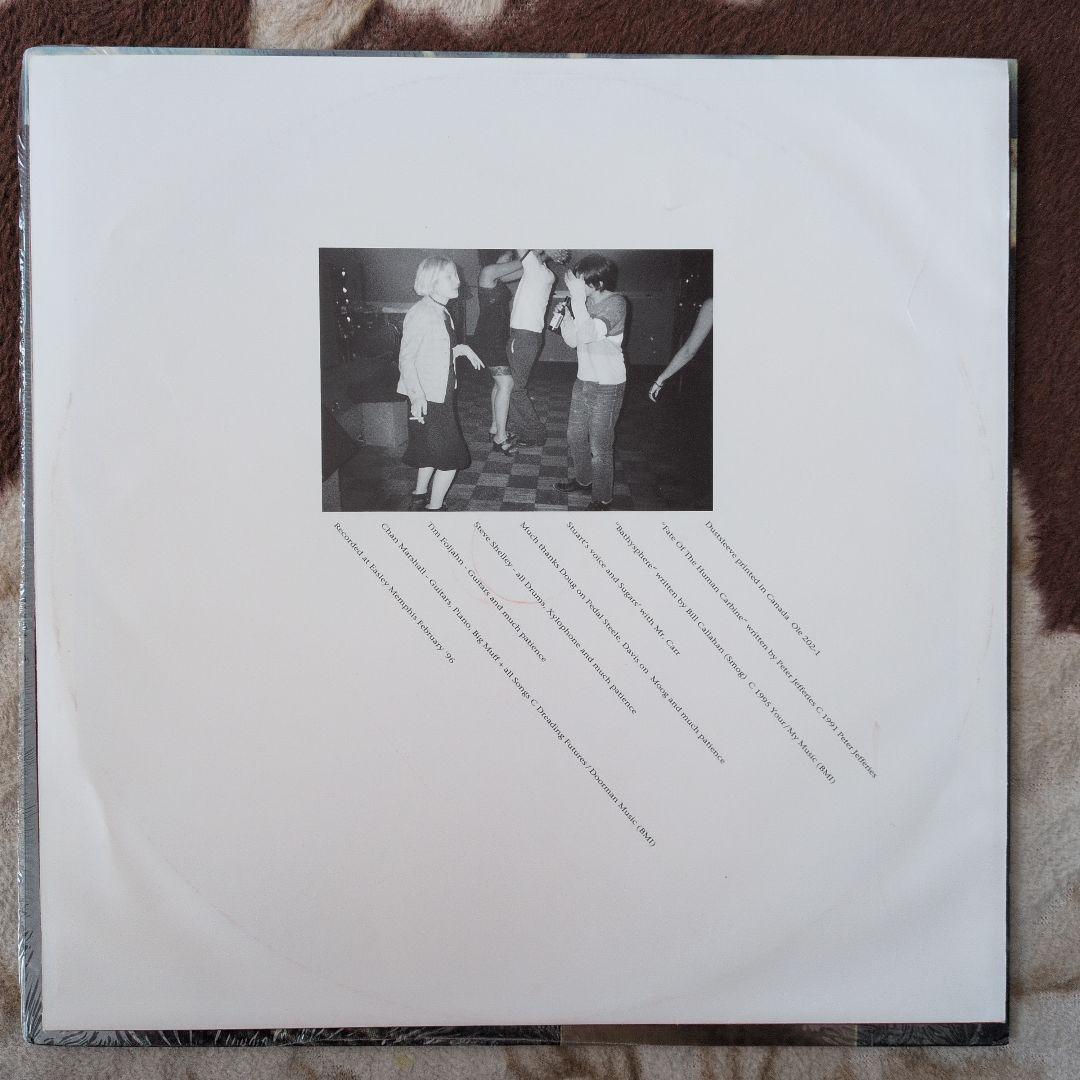 洋楽 CAT POWER What Would The Community Think