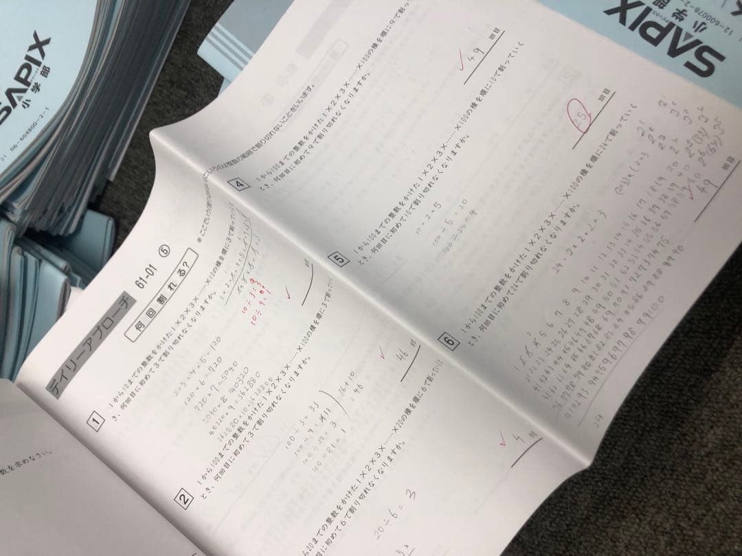 サピックス6年算数　開成対策　デイリー/春夏/日特/冬期/正月他　2025年受験