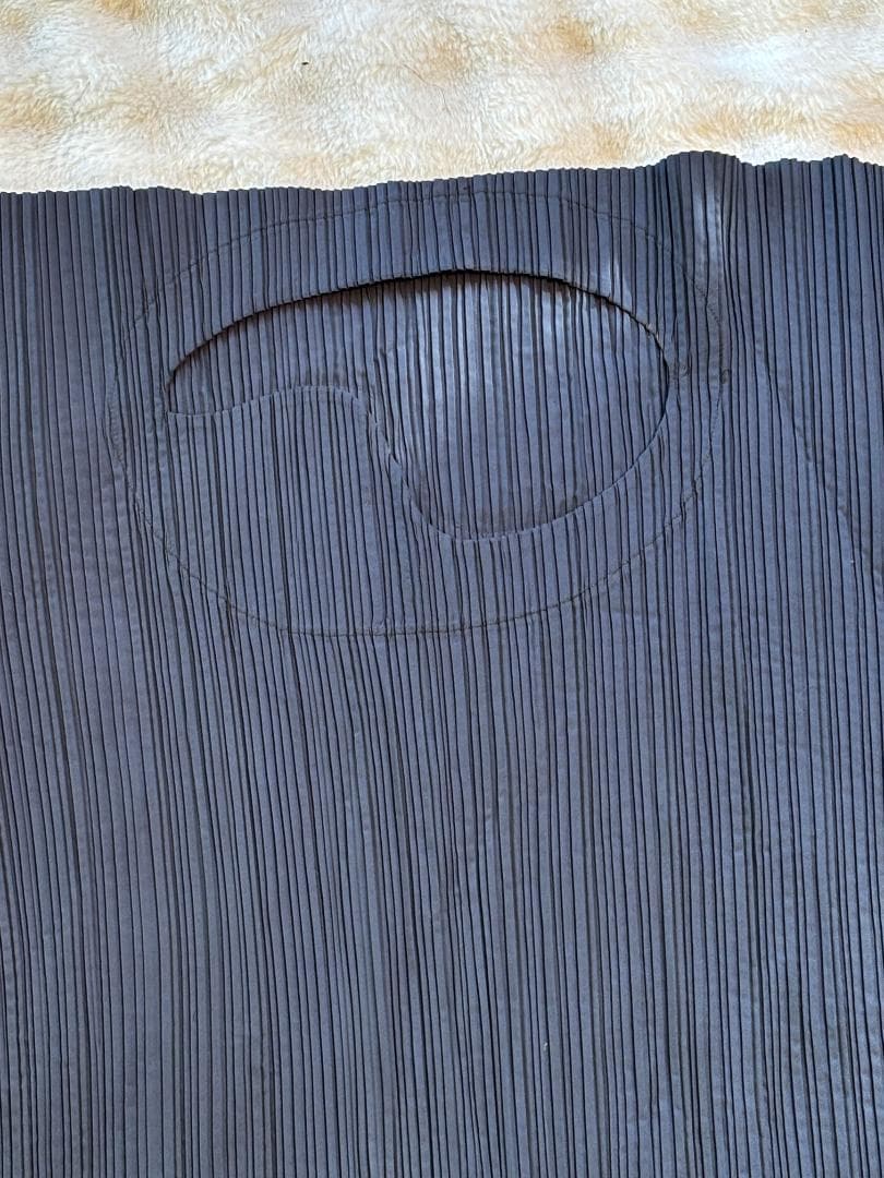 [超希少] ISSEY MIYAKE 平面二次元 変形 グレーボーダープリーツ