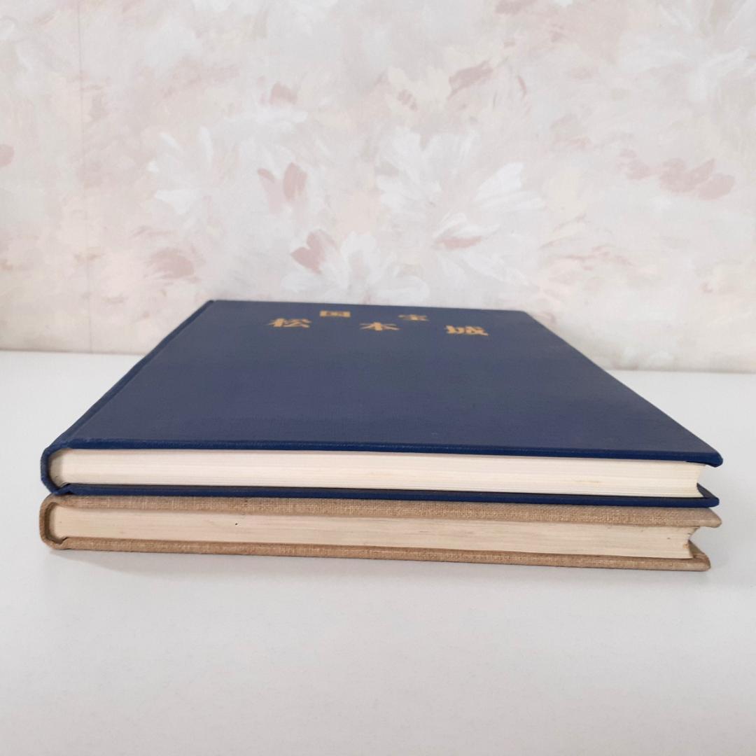 国宝松本城・国宝松本城【解体・調査編】　松本市教育委員会