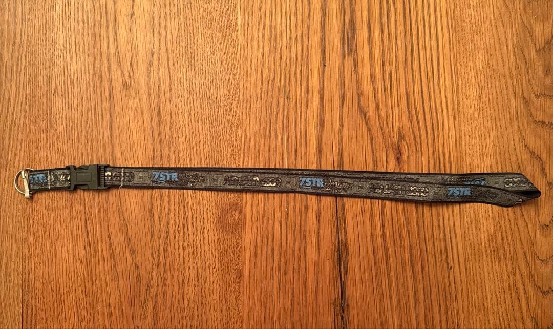 【まとめ売り】Hi-Standard + AIR JAM 2000 グッズ