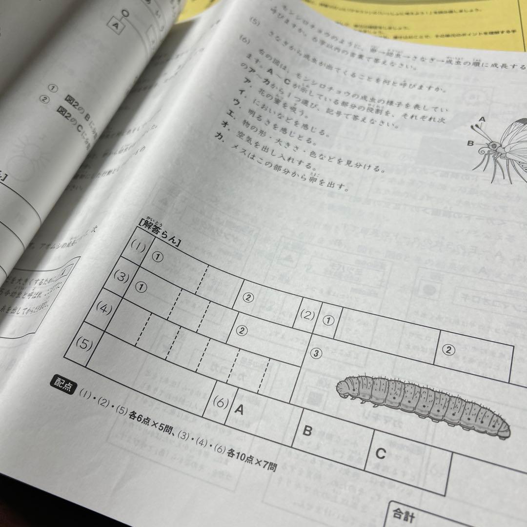 ㉓ AB サピックス　SAPIX 4年　理科　夏期講習　サマーサピックス
