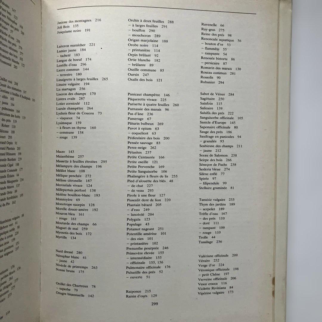 PLANTES SAUVAGES 256イラスト 洋書