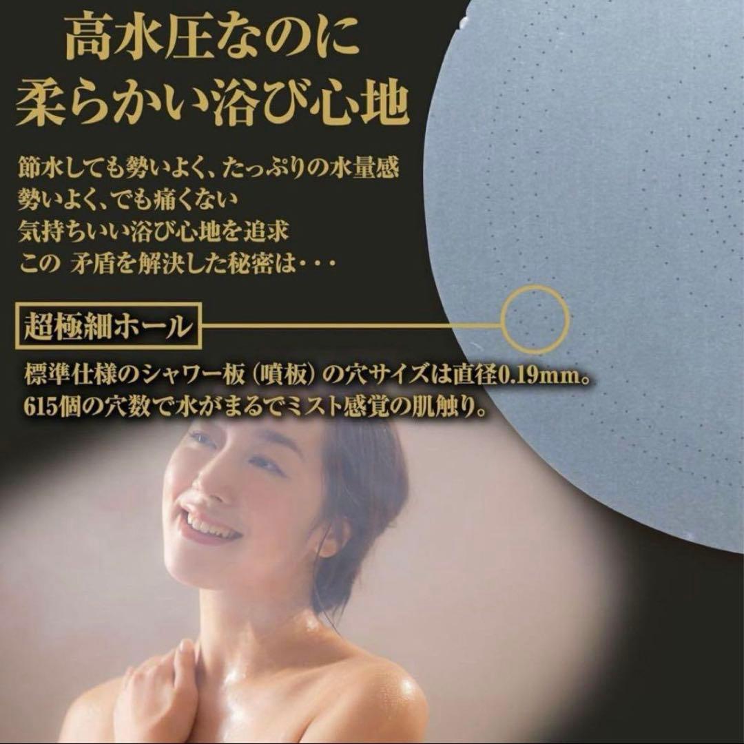 【新品★限定】amane高機能シャワーヘッドハンズ限定フィルターセット付　ミスト