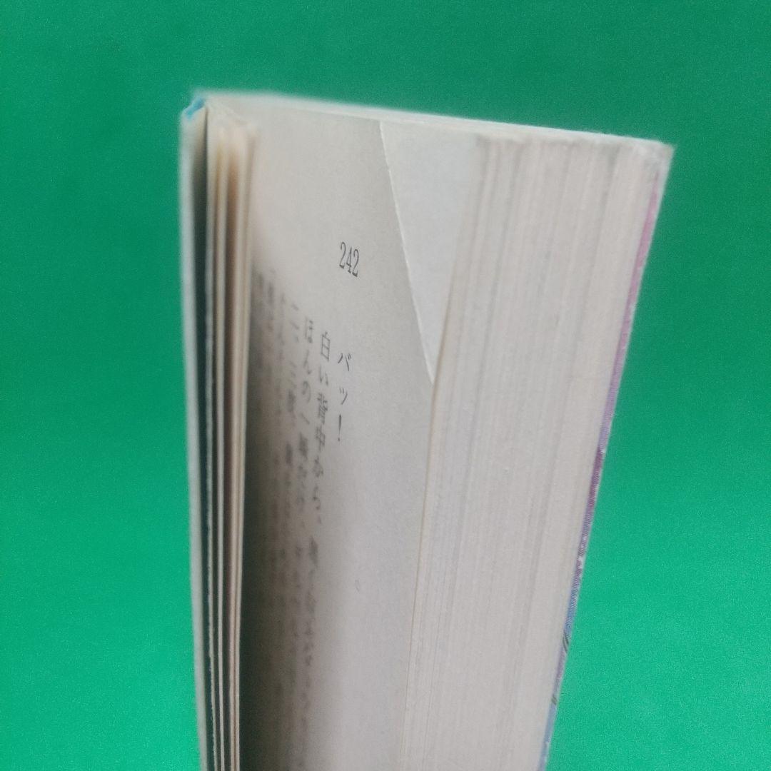 ウィザードリィ・サーガ 下 (隻眼の吸血鬼)