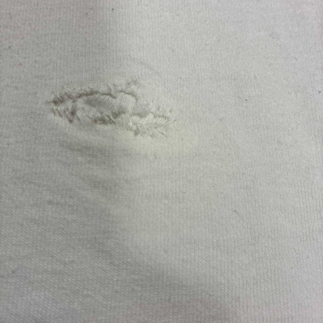 SANTA CRUZ スクリーミングハンド ロンT