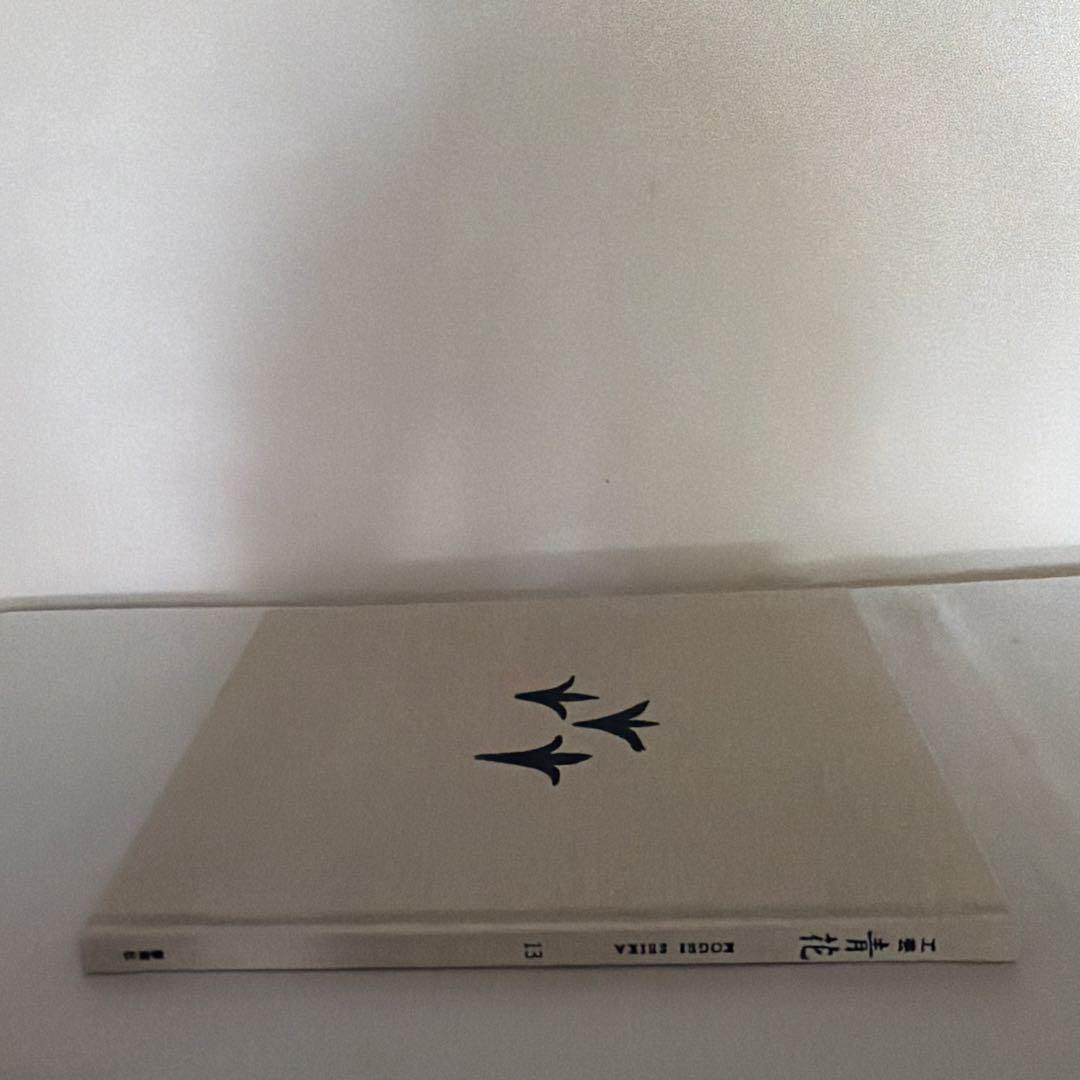 【完売品】工芸青花 13号