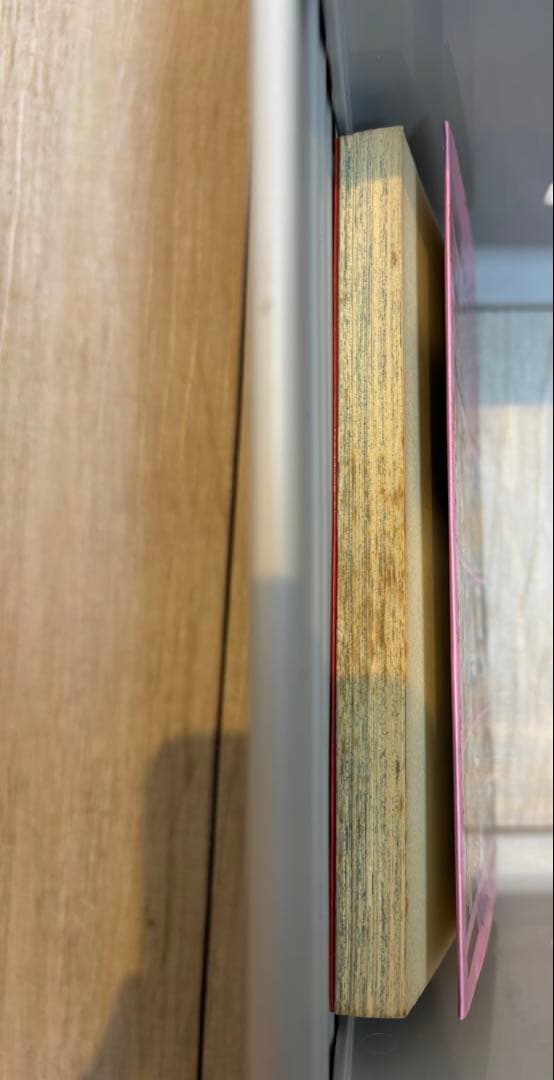 ワンピース1巻 初版 & WANTED 初版 セット