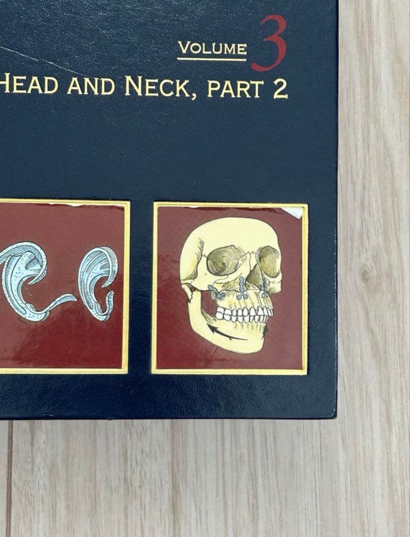 【まとめ売り】Plastic Surgery vol.1〜8 医学書　洋書　外科