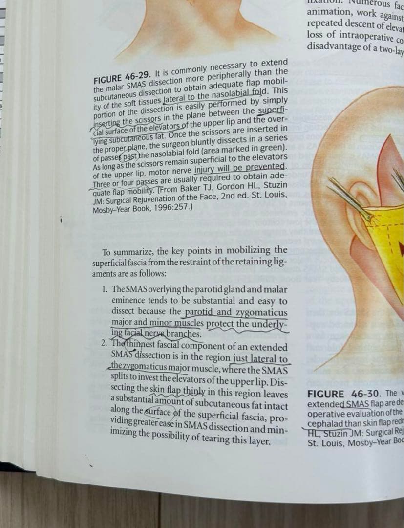 【まとめ売り】Plastic Surgery vol.1〜8 医学書　洋書　外科