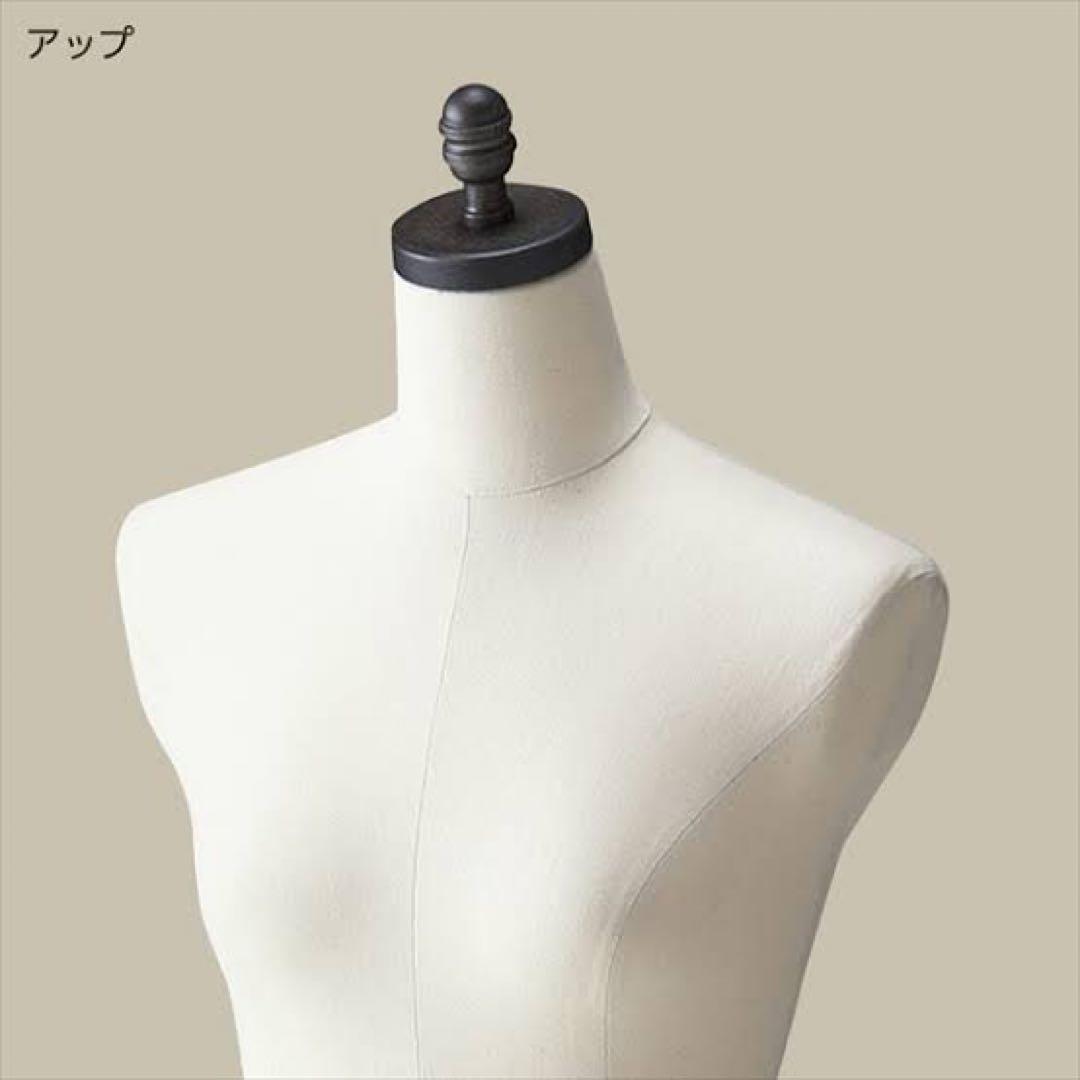 レディーストルソー　カツラギ張