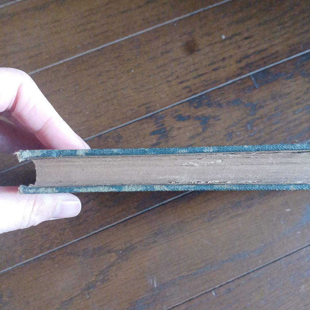 泉鏡花　無憂樹　明治39年　日高有倫堂