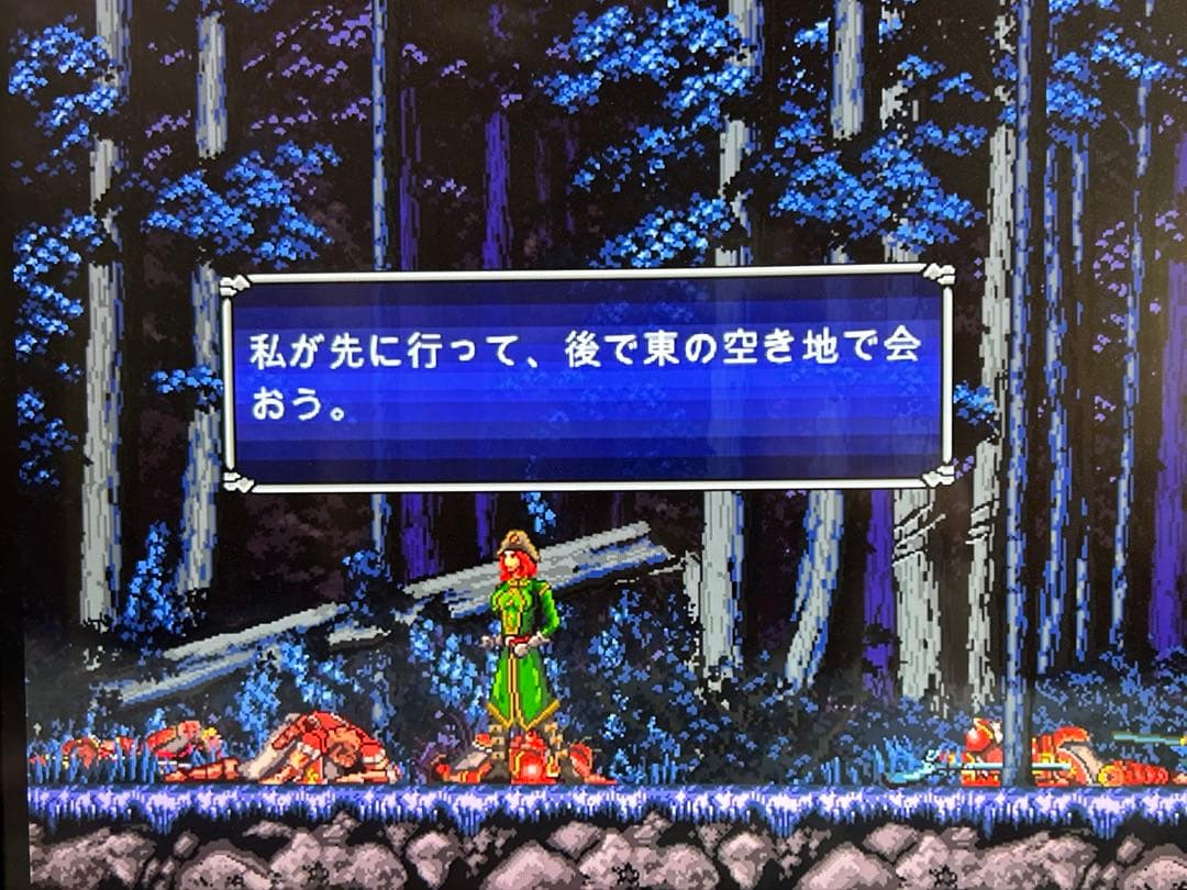 CHRONICLES OF THE WOLF Switch ニンテンドースイッチ