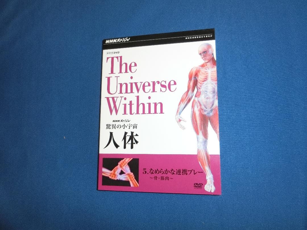 ☆美品☆送料込み☆驚異の小宇宙 人体DVDーBOX ６枚組☆