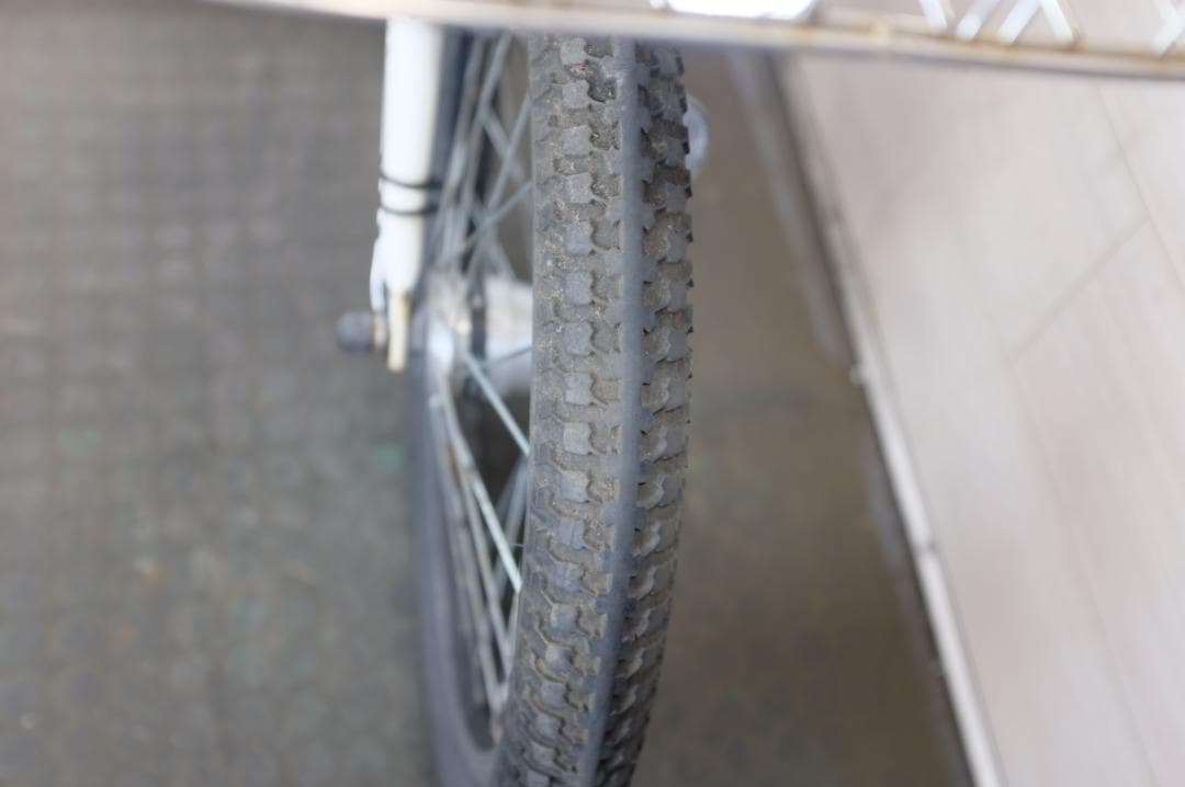 LOUIS GARNEAU　18インチ　3段　8.9Ah（5点灯）充電器あり