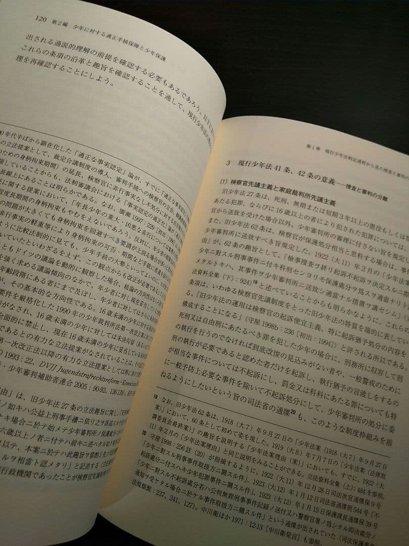少年司法における保護の構造 : 適正手続・成長発達権保障と少年司法改革の展望