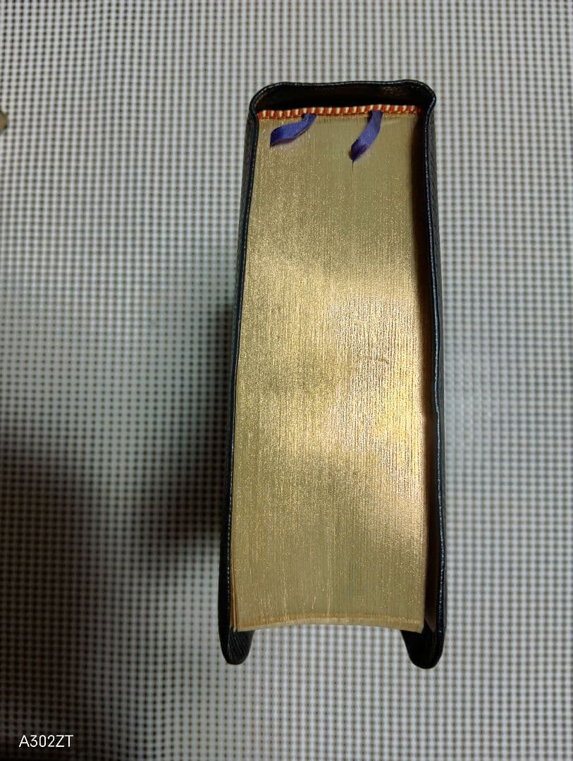 ■ 新共同訳 中型聖書 NI59S●B6判 ●革装　三方金　日本聖書協会