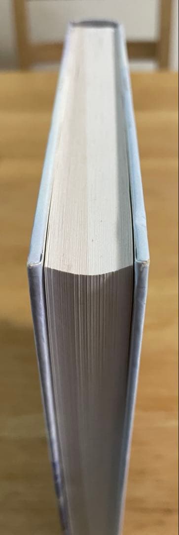 コンピュータ・IT Next Generation Wireless LANs