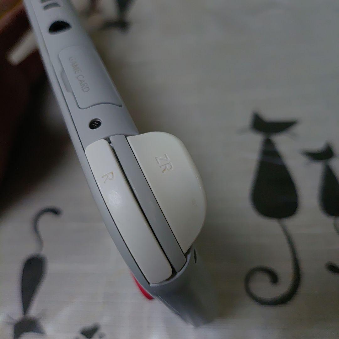 ま*ぐ様 【訳あり】Nintendo Switch Lite ザシアン＆ザマゼン