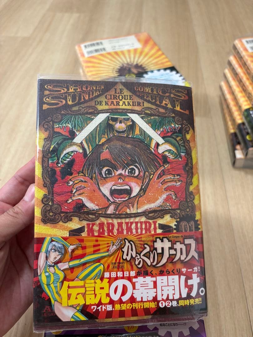 からくりサーカ ワイド版 全巻初版セット