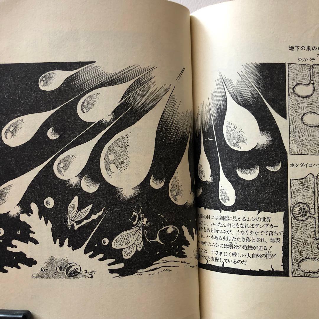 昆虫おもしろブック　松本零士