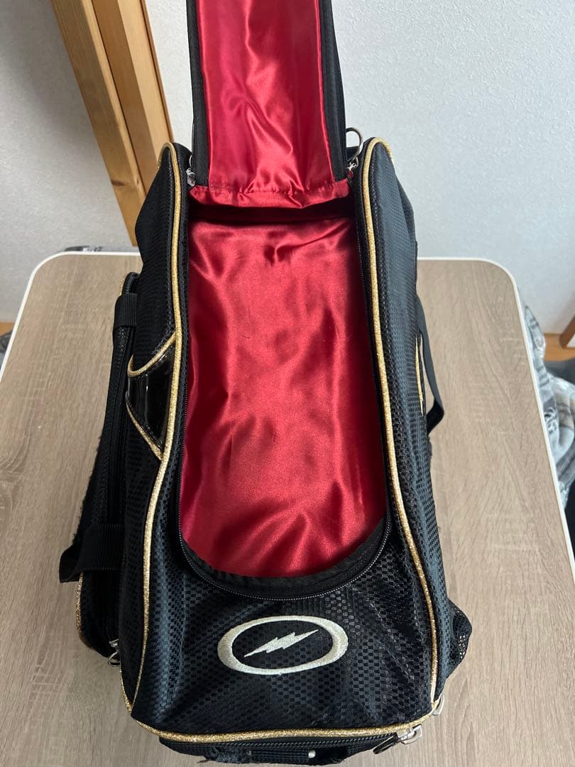 STORM ボウリング用キャリーバッグ　2ボール