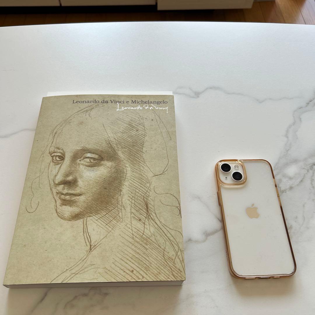 レオナルド・ダ・ヴィンチとミケランジェロ