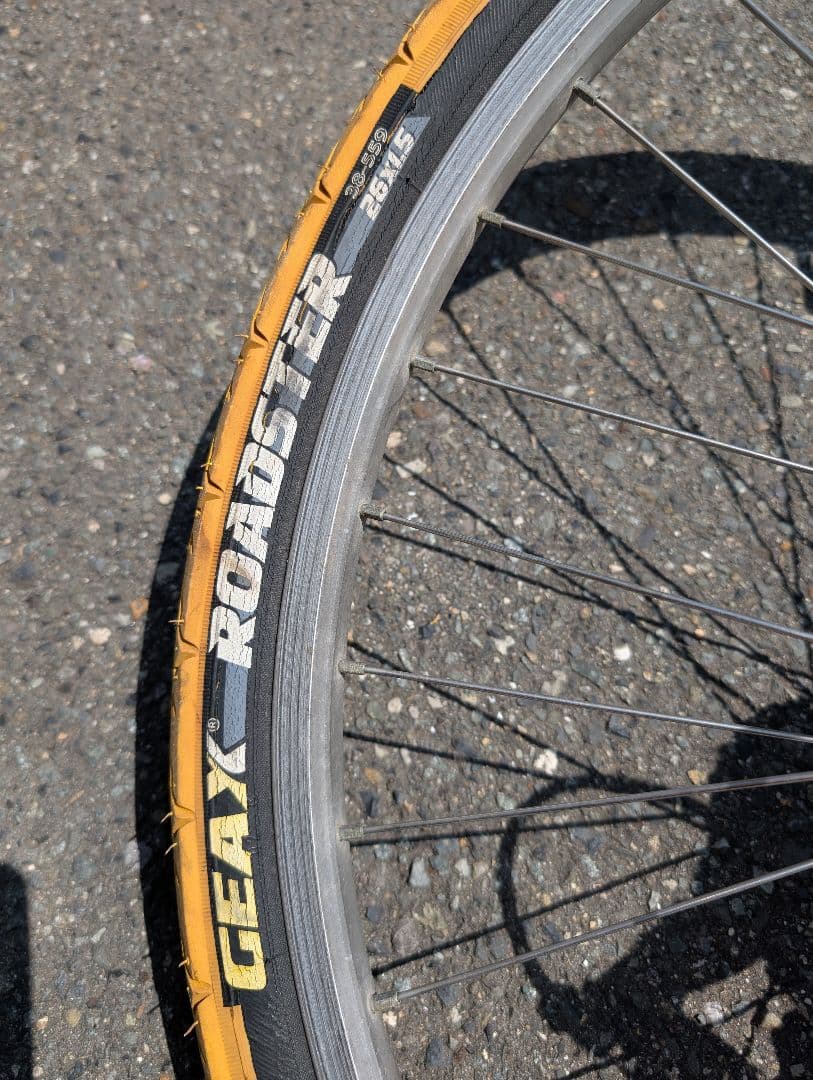 94' MTB ARAYA Muddy Fox Multi Trail アラヤ