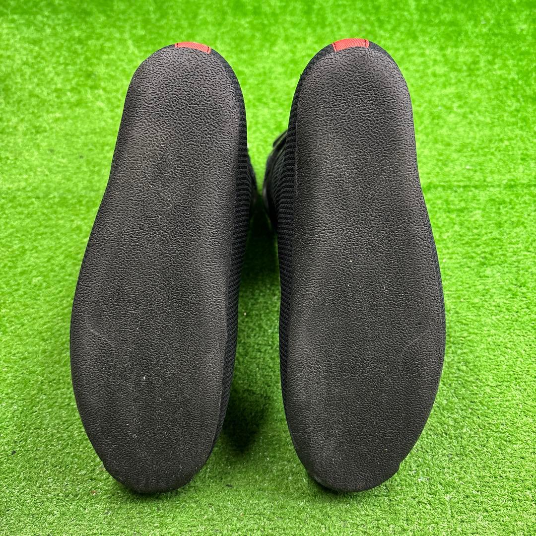 寶BT-A034スキーブーツ REXXAM 大特価 25 cm