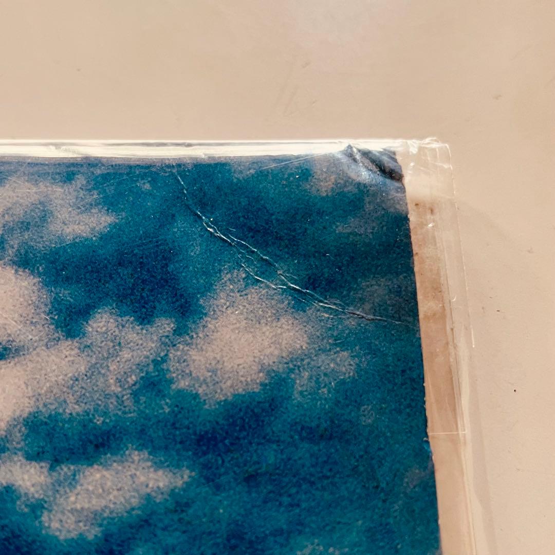 人間開花/RADWIMPS レコード アナログレコード LP (限定盤)