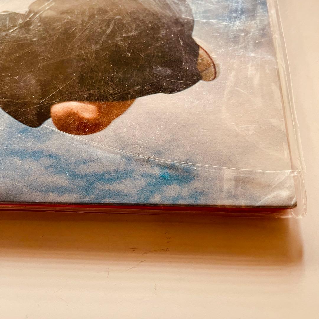 人間開花/RADWIMPS レコード アナログレコード LP (限定盤)