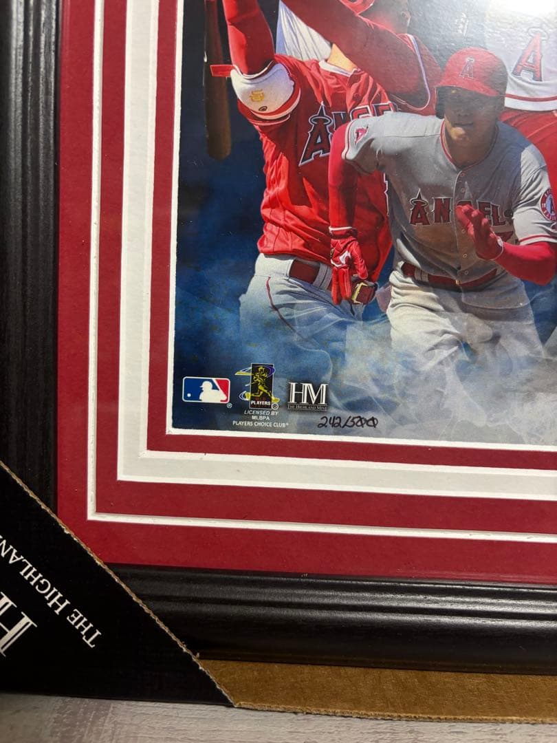 【世界限定500枚】大谷翔平 フォトミント 新人賞 獲得記念 シリアルNo.入り