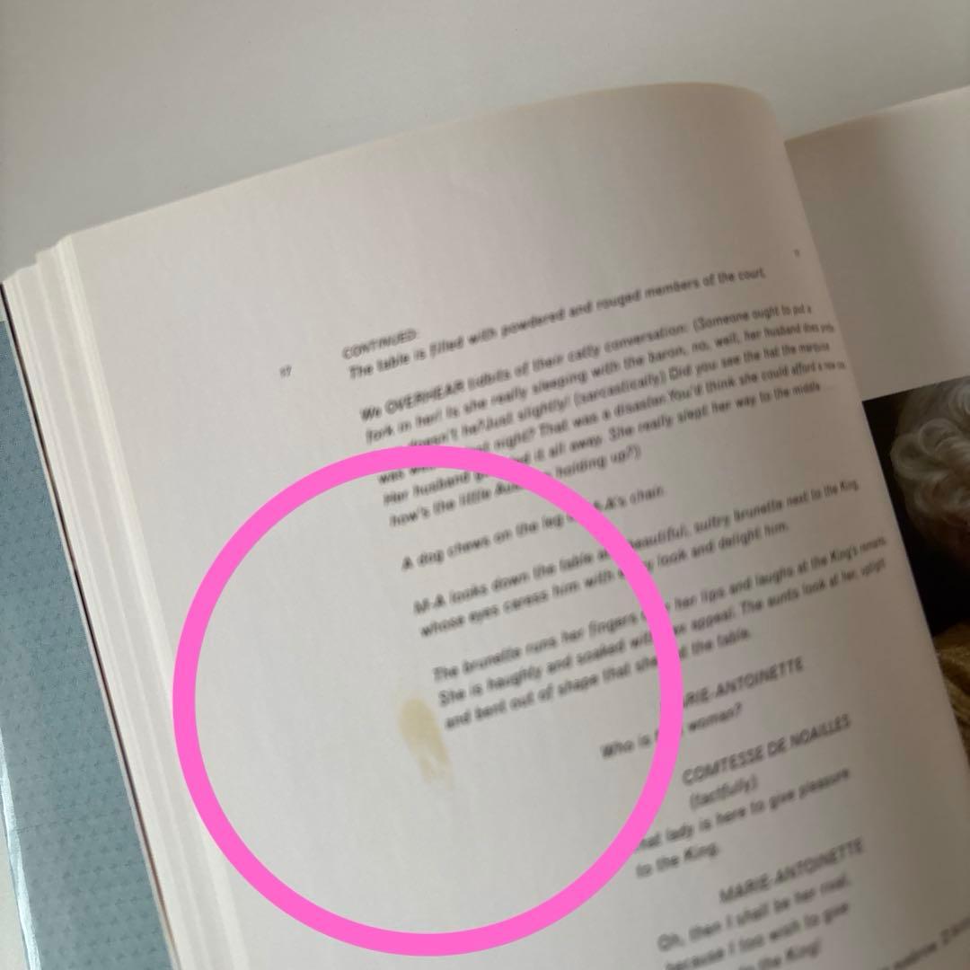 洋書 Marie Antoinette / Sofia Coppola