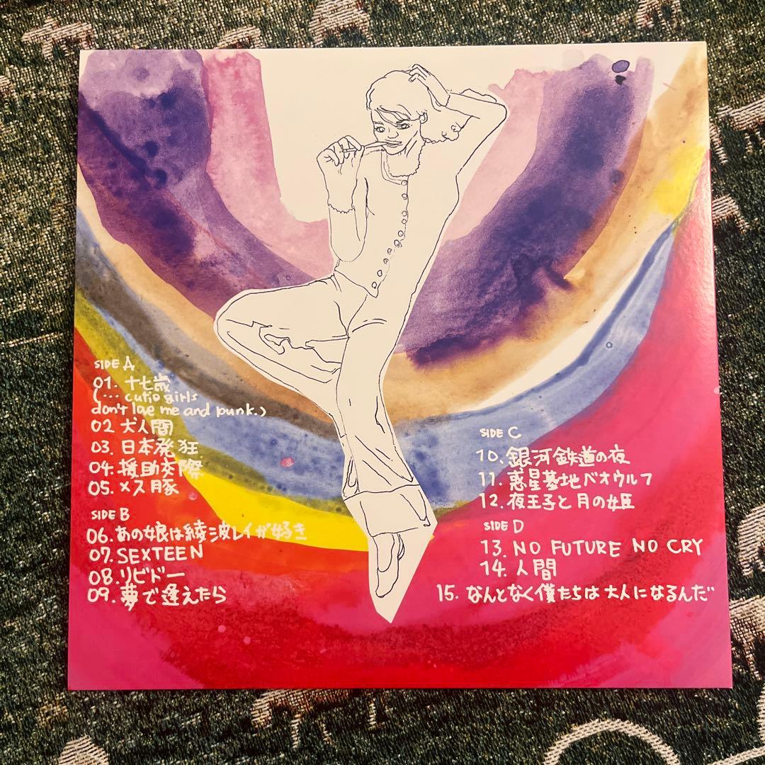 ね*ま様 銀杏BOYZ DOOR LP