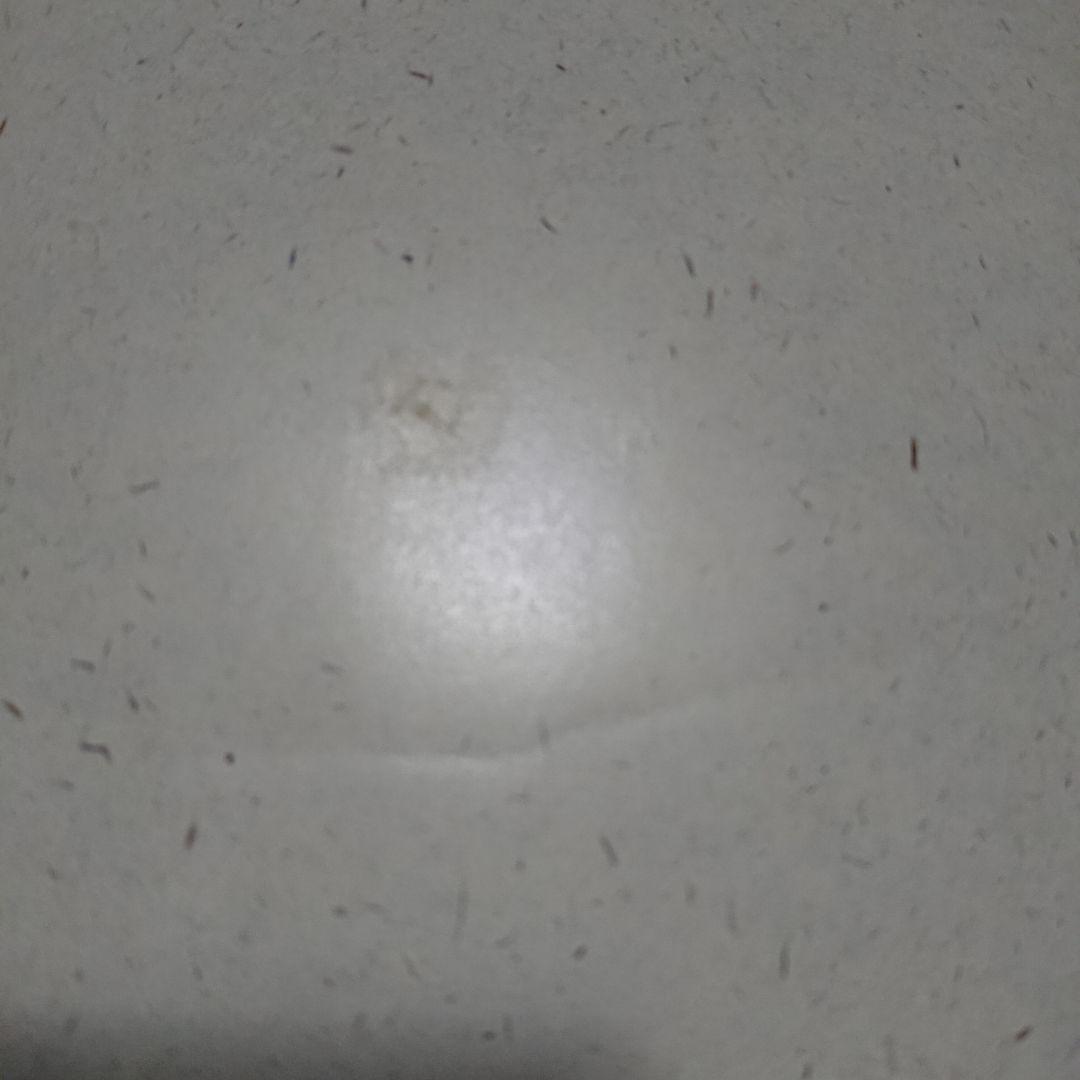 ココナツ・クルー/ベスト～渚のリズム CD