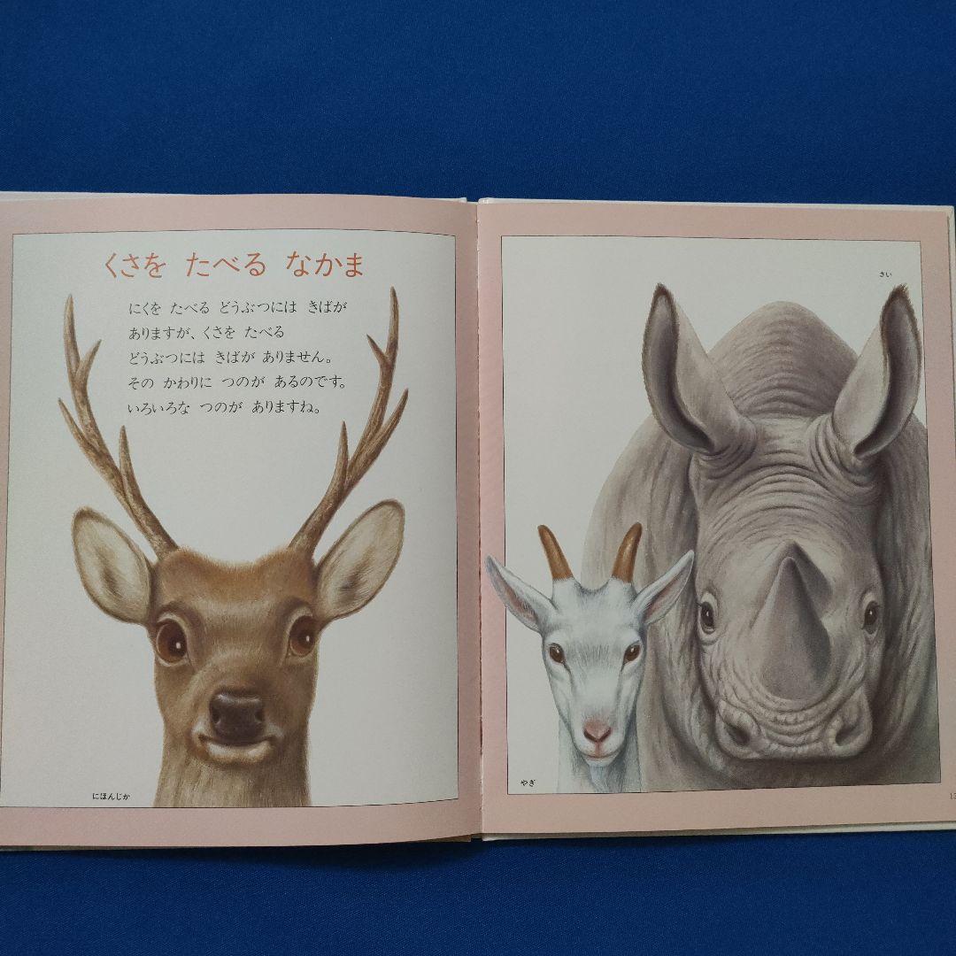 ビッグサイエンス　キンダーブックしぜん　どうぶつのからだ　あし　かお　もよう