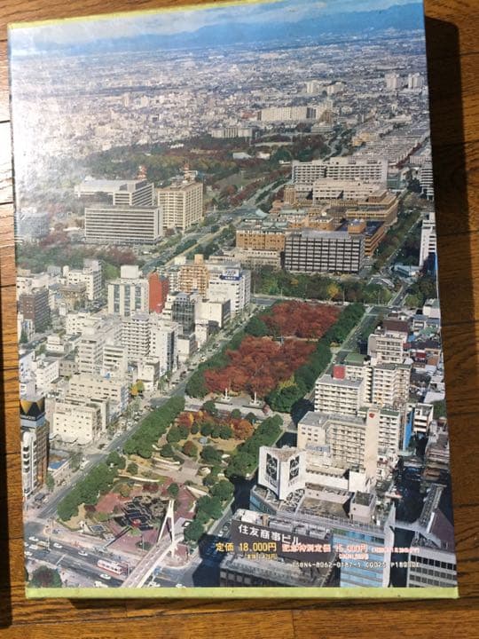 レア❗️空から見た名古屋市