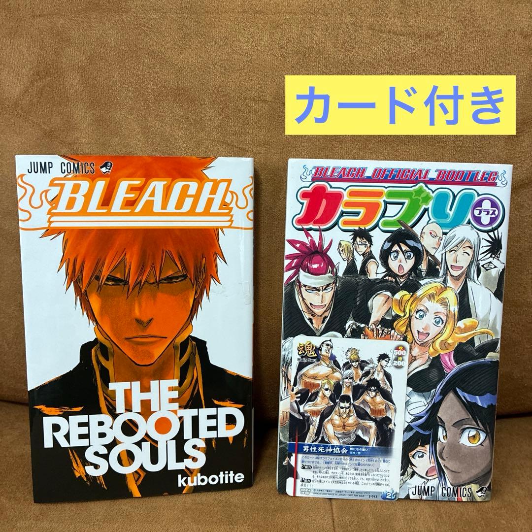 BLEACH 関連本　22冊セット　付録多数あり　キャラクターブック　小説など