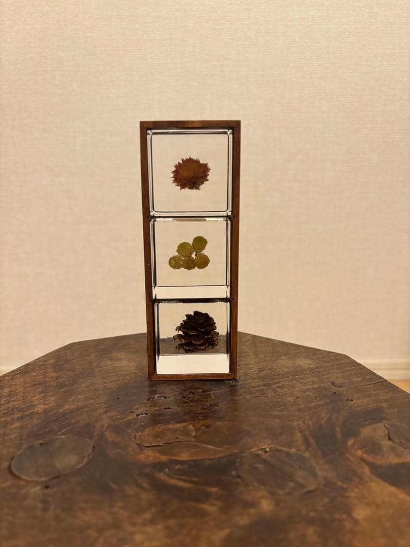 ウサギノネドコ sola cube 木箱3個セット