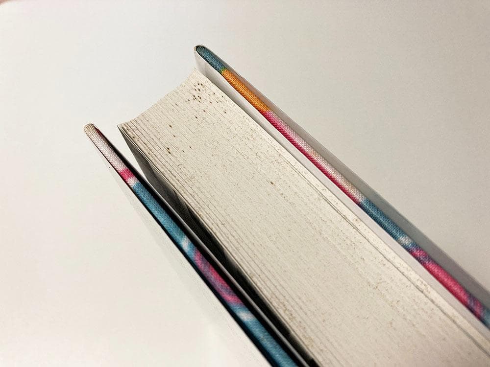 アート・デザイン・音楽 Walter Pfeiffer / In Love With Beauty