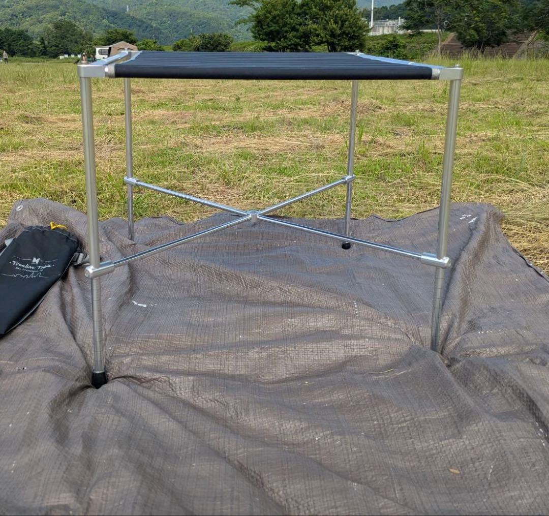 【希少】 Alite Treelineテーブル