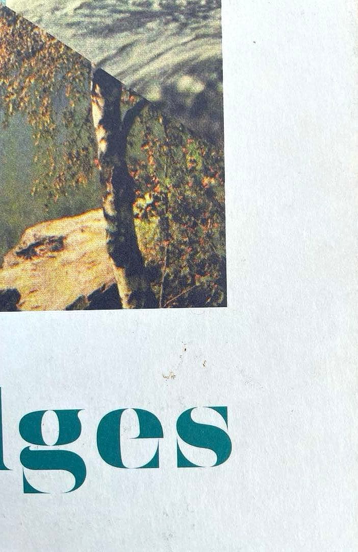 Cutting Edges: Contemporary Collage 作品集