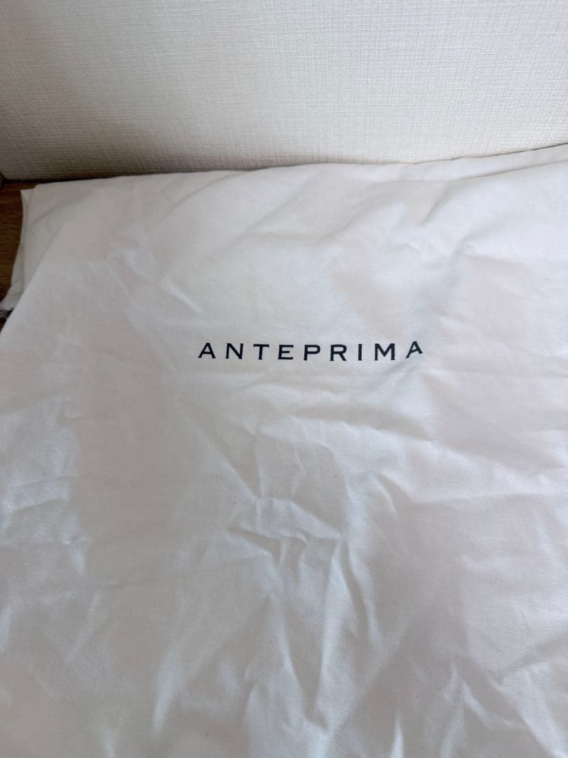 ANTEPRIMA ワイヤーバッグ 大サイズ！保存袋付き！